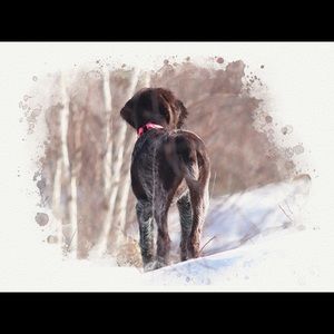 Meet your Posher, Christie